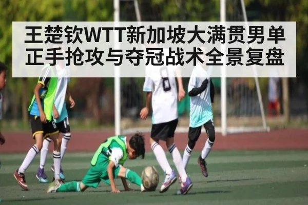 王楚钦WTT新加坡大满贯男单正手抢攻与夺冠战术全景复盘
