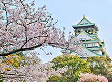 九游娱乐官方网站-【东亚杯】金玟哉头槌制胜 国足0比1韩国遭遇两连败